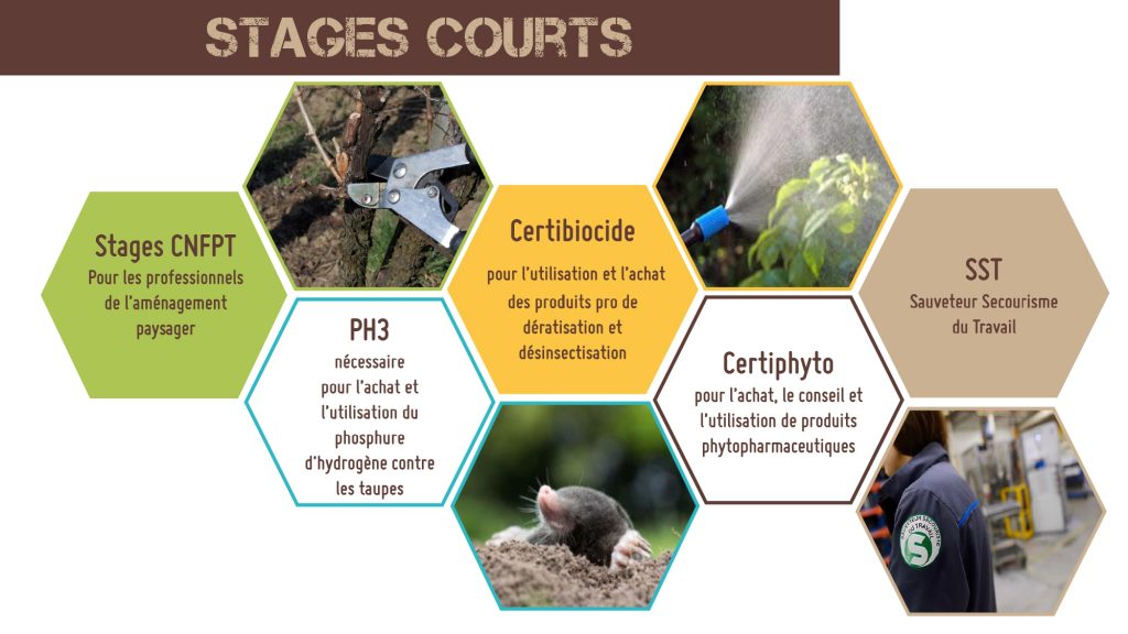 Le CFPPA Les Vaseix Bellac propose des formations courtes pour les professionnels, tel que le PH3, les formations crtibiocide, certiphyto ou encore des stages CNFPT.
