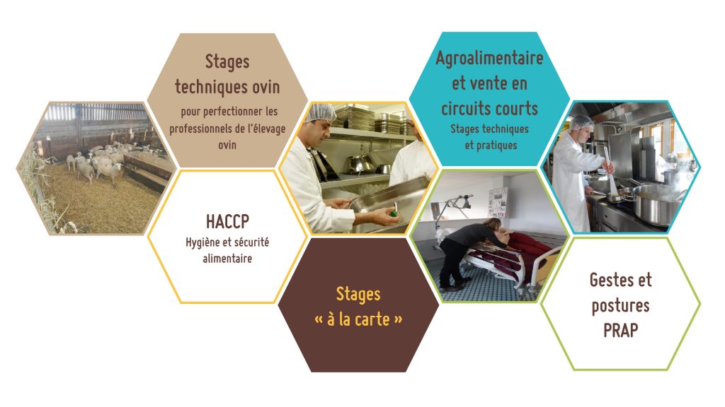 Le CFPPA Les Vaseix Bellac propose aussi des stages techniques ovins ainsi que des stages techniques et pratiques en agroalimentaire. La méthode HACCP et aussi enseigné au CFPPA Les Vaseix Bellac, tout comme des formations gestes et postures